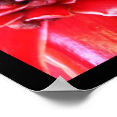 Posters met rode torch Ginger Heliconia Flowers (Hoek)