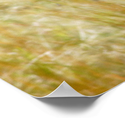 posters, prints, afbeeldingen van in het wild leve poster (Hoek)