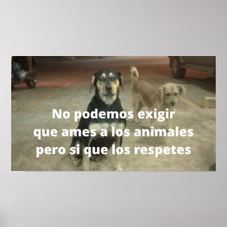 Posters reageren op een los dier