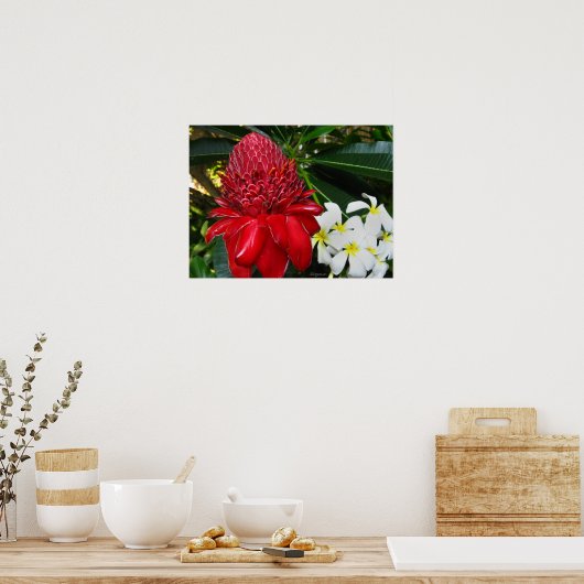 Posters rode torch Ginger White Plumaria Flowers (Keuken)