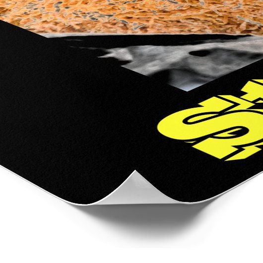 posters tegen roken in zwart (Hoek)