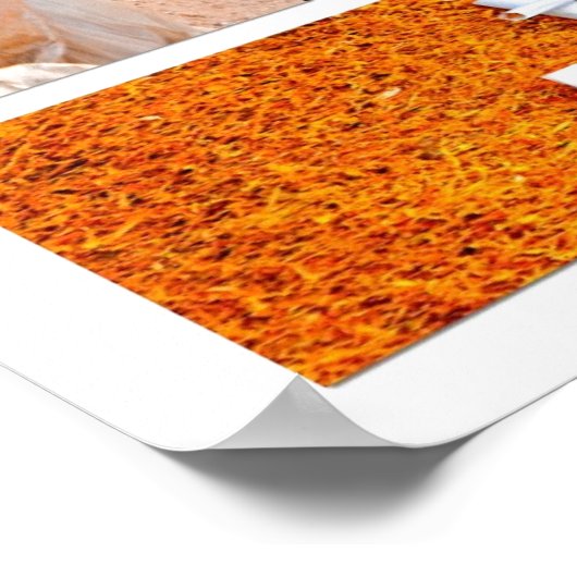 posters tegen roken op wit (Hoek)