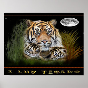 posters tijger en cubs