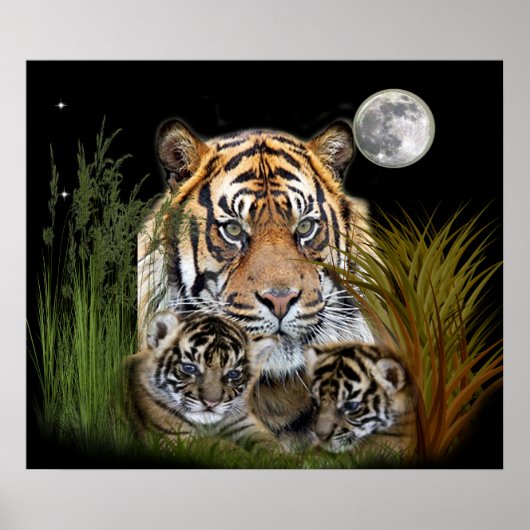 posters tijger en cubs (Voorkant)