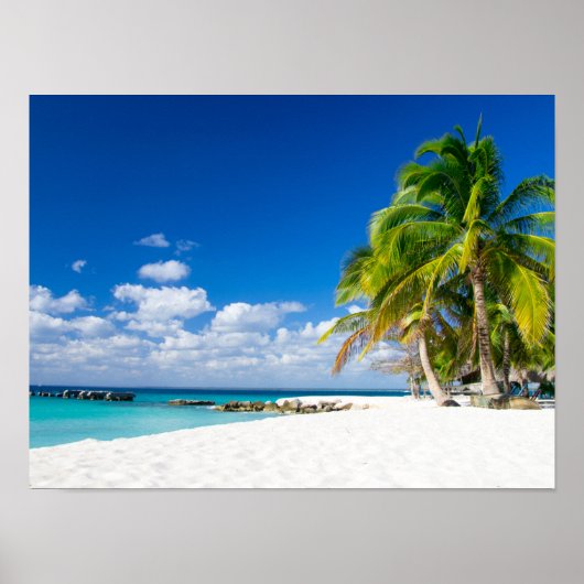 Posters - Tropische zon (Voorkant)