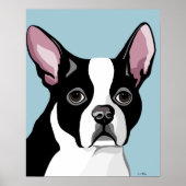 Posters van Boston Terrier (Voorkant)