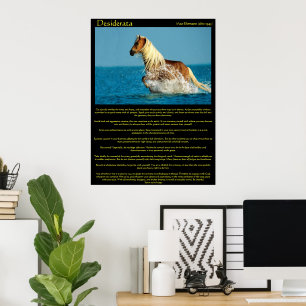 Posters van Desiderata Water Horse