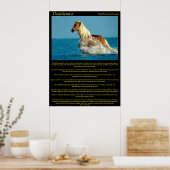 Posters van Desiderata Water Horse (Keuken)
