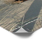 Posters van labrador Retriever op strand (Hoek)