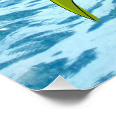 Posters van visgerei en Poster van schildpadden (Hoek)