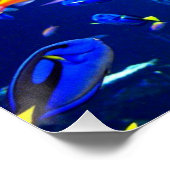 Posters van viskwekerijen voor Poster (Hoek)