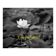 Posters voor de bescherming tegen huiselijk geweld