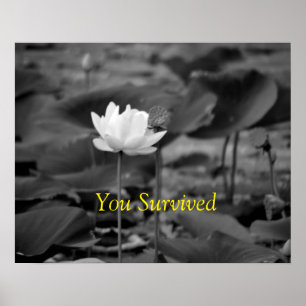 Posters voor de bescherming tegen huiselijk geweld