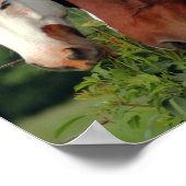 Posters voor fotografie (Hoek)