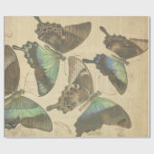 Posters voor het loskoppelen van vlinderbloemige F Cadeaupapier (Vlak)