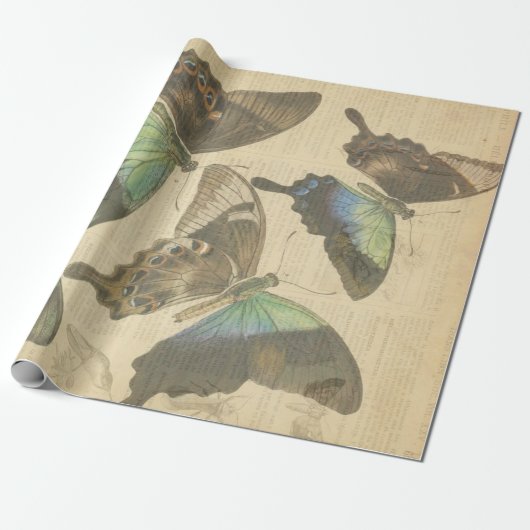 Posters voor het loskoppelen van vlinderbloemige F Cadeaupapier (Uitgerold)