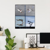 Posters voor luchtmacht (Thuiskantoor)