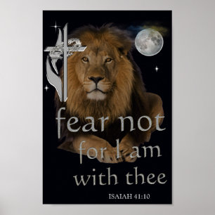 Posters voor scripts