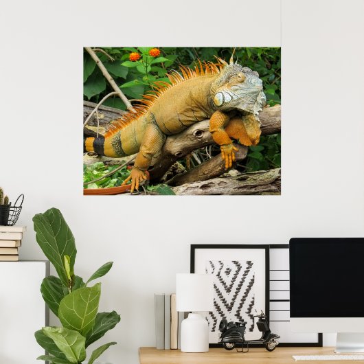 Posters voor trekhagedis (Thuiskantoor)