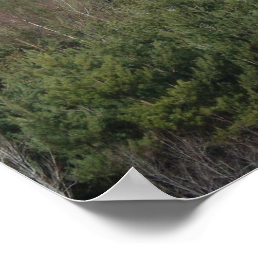 posters waarschuwen (Hoek)