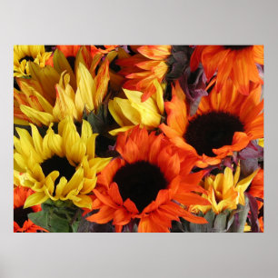 Posters, ZONNEN # 1 Poster