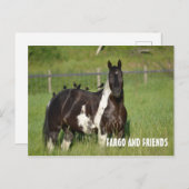 POSTKAART (Voorkant / Achterkant)