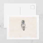 Postkaart (Voorkant / Achterkant)