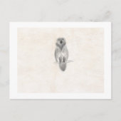 Postkaart (Voorkant)