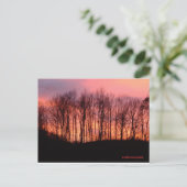 postkaart (Staand voorkant)