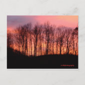 postkaart (Voorkant)