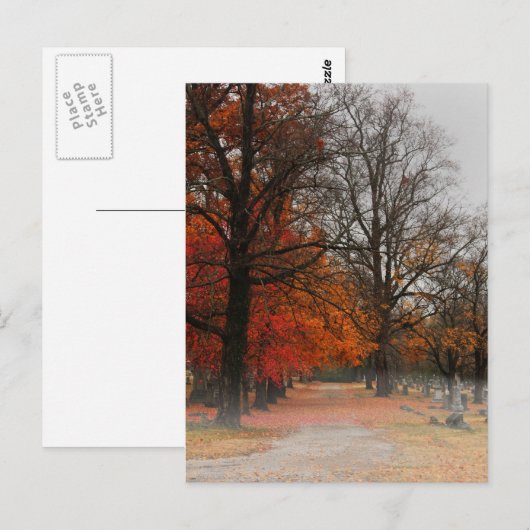 Postkaart (Voorkant / Achterkant)