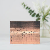 Postkaart (Staand voorkant)