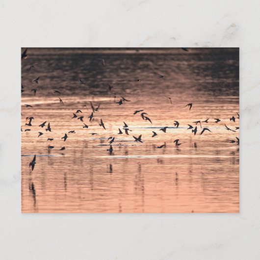 Postkaart (Voorkant)