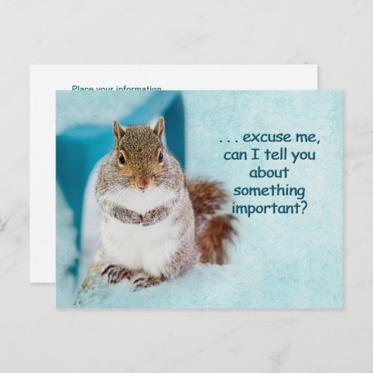 POSTKAART - ADVERTISING - CUTE SQUIRREL (Voorkant / Achterkant)