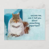 POSTKAART - ADVERTISING - CUTE SQUIRREL (Voorkant)