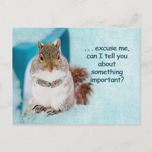 POSTKAART - ADVERTISING - CUTE SQUIRREL (Voorkant)