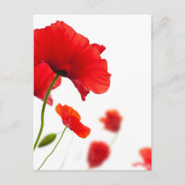 Postkaart - bloemen van pertussis