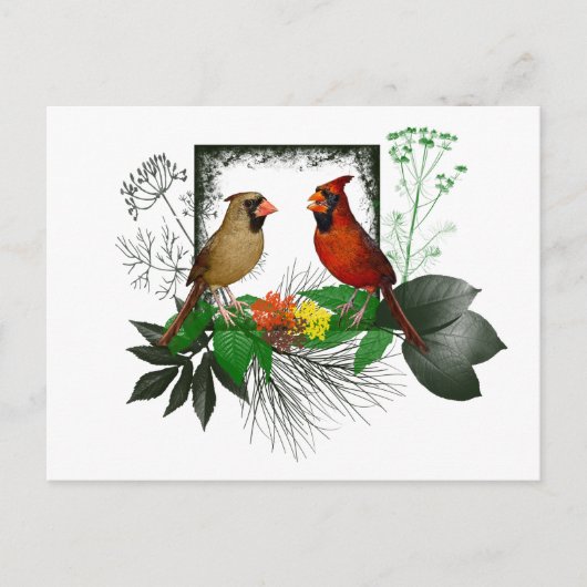 Postkaart Cardinals Corner (Voorkant)
