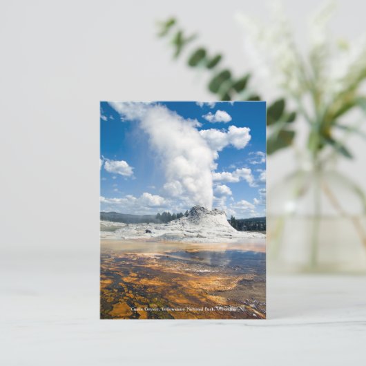 Postkaart - Castle Geyser (Staand voorkant)
