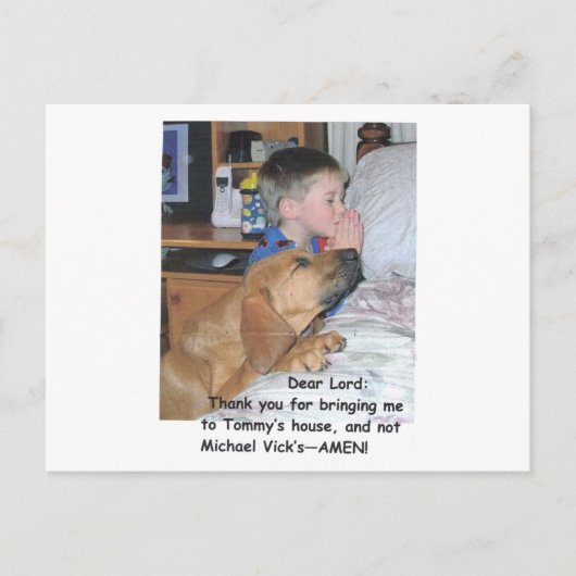 Postkaart - Dierenvrienden (Voorkant)