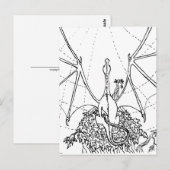 Postkaart - Drakenvleugels (Voorkant / Achterkant)