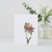 Postkaart, formaat: standaard Briefkaart, papier:  Briefkaart (Staand voorkant)