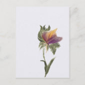 Postkaart, formaat: standaard Briefkaart, papier:  Briefkaart (Voorkant)