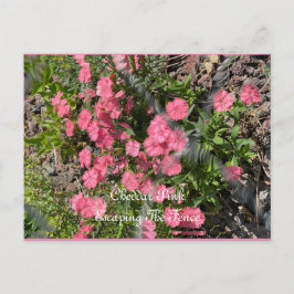 Postkaart, formaat: standaard Briefkaart, papier:  Briefkaart