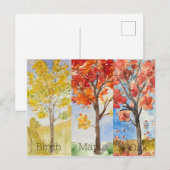 Postkaart, formaat: standaard Briefkaart, papier:  Briefkaart (Voorkant / Achterkant)