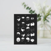 Postkaart, formaat: standaard Briefkaart, papier:  Briefkaart (Staand voorkant)