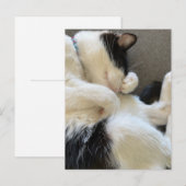 Postkaart, formaat: standaard Briefkaart, papier:  Briefkaart (Voorkant / Achterkant)