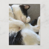 Postkaart, formaat: standaard Briefkaart, papier:  Briefkaart (Voorkant)