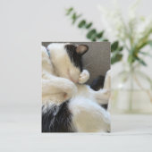 Postkaart, formaat: standaard Briefkaart, papier:  Briefkaart (Staand voorkant)