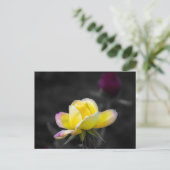 Postkaart Gele Roos Fotografie (Staand voorkant)
